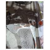 UNOPENED BY ROCKEY TEAM, COULD BE OPENED AT