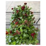 Large Flat Of Pansies