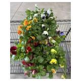 Large Flat Of Pansies