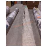 Area Rug Unknown Size