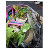 Bucket of fake plants and party supplies