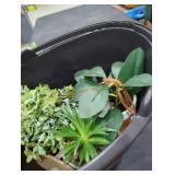 Bucket of fake plants
