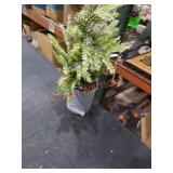Tree Decor