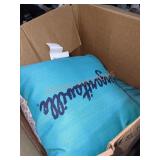 Box Lot Of Pillows & Pump