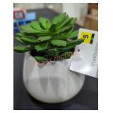 (4) Succulent Arrangements, Glass, Home Decor