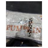 Decorative Pillows qty 2