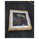 (2) Picture Frames