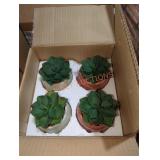 Four Faux Succulents