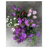 Partial Tray Of Potted Flowers
