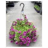 Petunia Basket