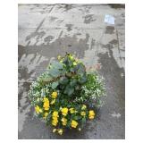 Dahlia Planter