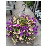 Petunia Basket