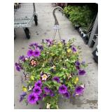 Petunia Basket