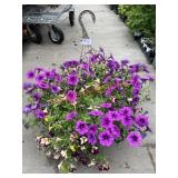 Petunia Basket
