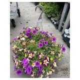 Petunia Basket