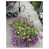 Petunia Basket