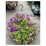 Petunia Basket