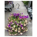 Petunia Basket