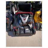 Murray 22" Gas Push Mower