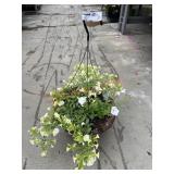 Fancy Woven Basket