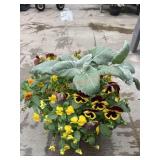Pansy Planter