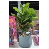 Pair of Fake Plants