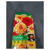 UNOPENED BY ROCKEY TEAM. Could be Opened at