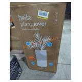 UNOPENED BY ROCKEY TEAM, Could Be Opened At