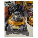 DeWalt 21" gas powered push mower