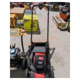 Echo Self Propelled Battery Mower