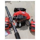Echo Backpack Leaf Blower