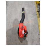 Echo PB2520 leaf Blower