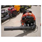Echo Gas Backpack Blower