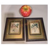 Antique Bontanical Framed Art Prints