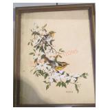 Vintage Dogwood & Birds Mary Bland Signed Print