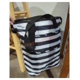 Cooler Bag with Misc Household Contents Cooler Bag with Misc Household Contents