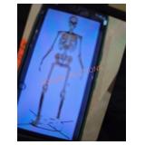 12 ft Skelly with servo 12 ft Skelly with servo