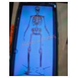 12 ft Skelly with servo 12 ft Skelly with servo