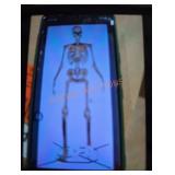 12 ft Skelly with servo 12 ft Skelly with servo