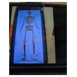 12 ft Skelly with servo 12 ft Skelly with servo