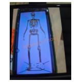 12 ft Skelly with servo 12 ft Skelly with servo