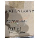 Light Fixture