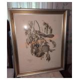 Florida Jay & Baltimore Oriole Framed Art Prints Florida Jay & Baltimore Oriole Framed Art Prints