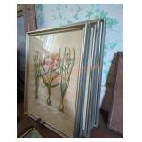 Besilius Besler Botanical Art Print Besilius Besler Botanical Art Print