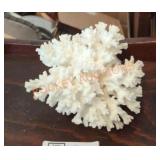 White Coral
