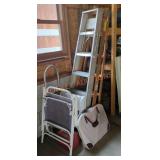 Misc. Ladders & More Lot