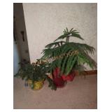 Pair of Live House Plants