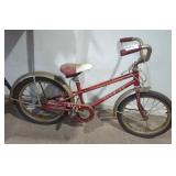 Vintage Schwinn Children