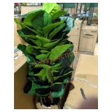 Home Decor Plant
