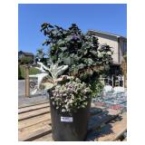 Flower Planter Flower Planter